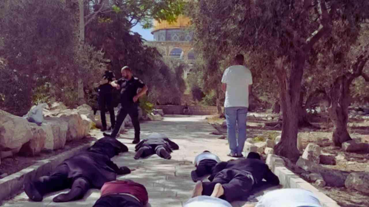 The-Council-of-Mosques